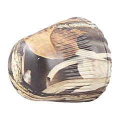 Front cap for A391 Xtrema and A391 Xtrema 2, 12-gauge 3.5", Camo Max4 HD finish Beretta